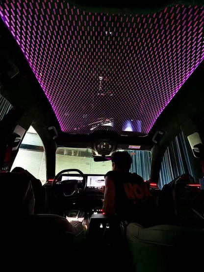 Ciel Étoilé LED Galaxie pour Habitacle Auto